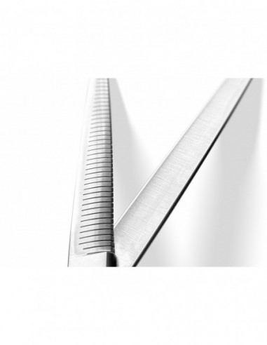 Sentaku Pets MELTY 39 Teeth - Fluffer... Sentaku Pets MELTY 39 Teeth - Fluffer...